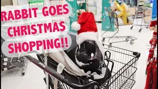 RABBIT GOES CHRISTMAS SHOPPING! 🐰🎄