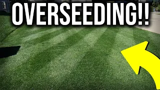 Spring Overseeding Steps in 1 MINUTE