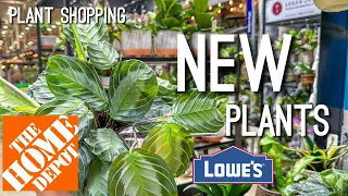 New Houseplants! Plant Haul! Lowes Plant Shopping & Home Depot!