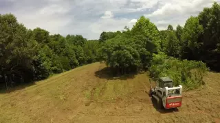 Clevinger Forest Services- Forestry Mulcher Land Clearing