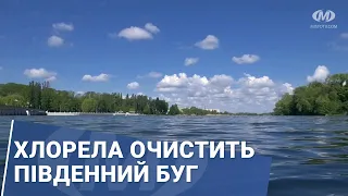 Хлорела очистить  Південний Буг