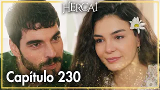 Hercai - Capítulo 230