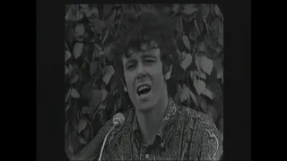 Donovan: Josie (live 1966)