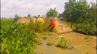 Massive Dam Drainage! Removal Floating Plants Clogged On Dam Drain Water For Trafice Daily