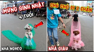 TẬP 2: MỪNG SINH NHẬT SU XÍ XỌN ĐƯỢC 4 TUỔI THEO PHONG CÁCH NHÀ GIÀU - NHÀ NGHÈO VÀ MÓN QÙA BÍ MẬT