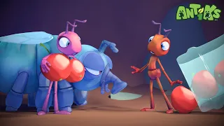 Home Invasion 🏠 | ANTIKS | Moonbug Kids - Funny Cartoons and Animation