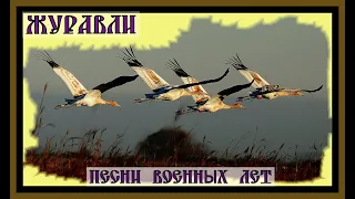 ЖУРАВЛИ..ПЕСНИ ВОЕННЫХ ЛЕТ.(группа "Серебро")CRANES..SONGS OF THE WAR YEARS.#песни военных лет#