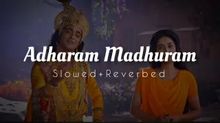 Adharam Madhuram (Slowed+Reverbed) | Radhakrishna Slowed and Reverbed Song ♥️🌍