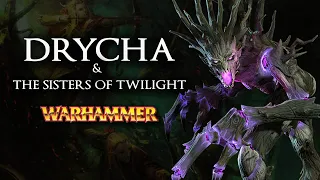 Warhammer Fantasy Lore: Drycha & The Sisters of Twilight - Total War: Warhammer 2