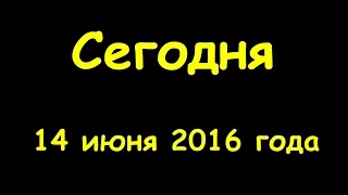 Какой сегодня праздник 14 июня 2016