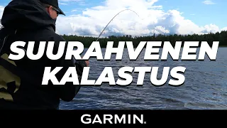 ISON ahvenen kalastus | Saimaalta AHVENTA