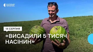 Історія фермера з Тернопільщини, який вирощує кавуни