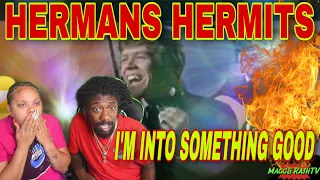 FIRST TIME HEARING HERMANS HERMITS - I'M INTO SOMETHING GOOD REACTION