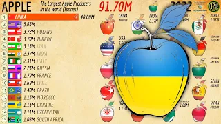 The Largest APPLE Producers in the World