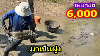 เหมาบ่อ 6,000บาท ทีมงานปลาตัวใหญ่ได้สนุกอีกแล้ว | Ep.180