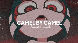 camel by camel instrumental by sandy marton slowed to perfection