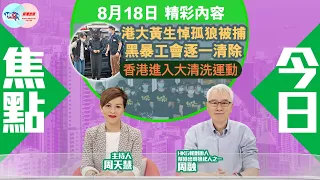 【幫港出聲與HKG報聯合製作‧今日焦點】港大黃生悼孤狼被捕 黑暴工會逐一清除 香港進入大清洗運動