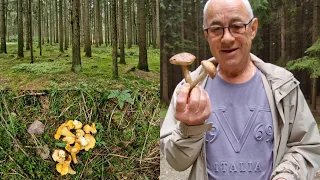 Кто куда, а  мы - за грибами 🍄🍄  Обо всём понемногу.