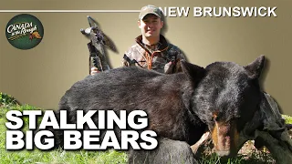 Heart-Stopping Black Bear Hunts in New Brunswick | Canada in the Rough