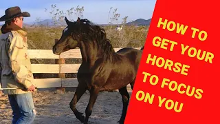 🟢 HOW TO GET YOUR HORSE TO FOCUS ON YOU - with Connection, Leadership, Strategy