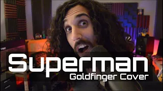 Superman - Goldfinger Cover (THPS Remaster Celebration)