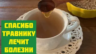 Пью и сердце молодеет, Мозг, сосуды и глаза!Опытный травник подсказал, для здоровья и пищеварения