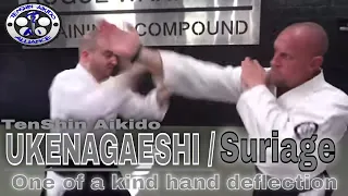 TenShin Aikido - Ukenagaeshi / Suriage Hand deflections - FREE online class