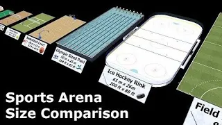 Sports Arena Size 3D Comparison