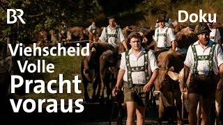 Viehscheid - Volle Pracht voraus | Ein Jahr mit Bäne | Doku 6/6 | Bergmenschen | BR | Kühe | Alpe