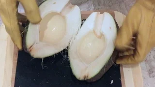 Easiest way to Open a Coconut - All 3 Types