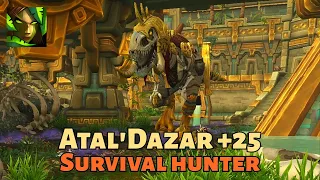 Survival Hunter +25 Atal'Dazar (Dragonflight Mythic+ Season 3)