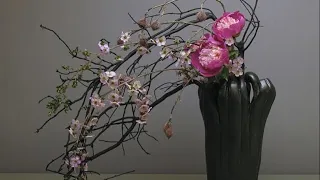 插花藝術-- 很多很多配方，學會這一些一生用不完 2  #chahua #Flower Arrangement - ikebana