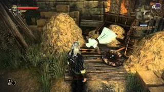 The Witcher 2 - Assassins Creed Easter Egg "Dead Altair"