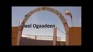 Documentary  ku saabsan Jeel Ogaadeen Qeybtii 1aad