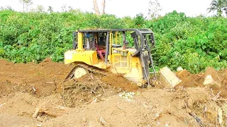 D6R XL Bulldozer-Led Road Construction in an Oil Palm Plantation