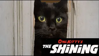 The Shining - starring my cat OwlKitty