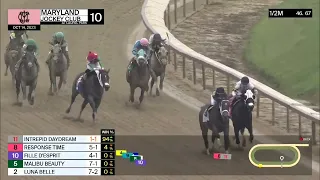 Laurel Park Carrera 10 (The Maryland Million Distaff S.) - 14 de Octubre 2023