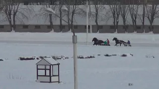 Московский ипподром. Бега. 25.02.18. Заезд 7(95)