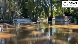 Houses completely submerged in Australian floods