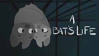 A Bat's Life - Animated Film