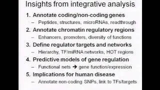 Insights from integrative analysis of the D. melanogaster genome - Manolis Kellis