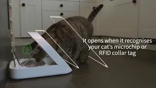 10 latest innovative gadgets and inventions in cool pet gadgets for cat on amazon