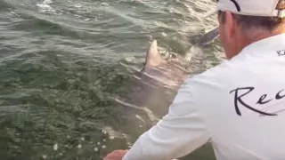 Shark bites off man's hand [PRANK GONE WRONG][GRAPHIC]
