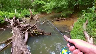 Creek Fishing with Vintage Rebel Lure