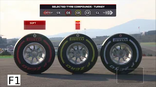 F1 2021 TURKISH GP INTRO & STARTING GRID by Serhan ACAR