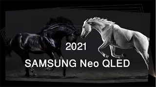 Samsung 4K 8K Neo QLED TV Demo