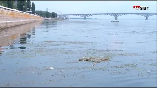 Горожане обратили внимание на грязную Волгу у саратовского берега