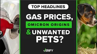 Top Headlines: Gas prices, omicron origins & pandemic pets returned to shelters?