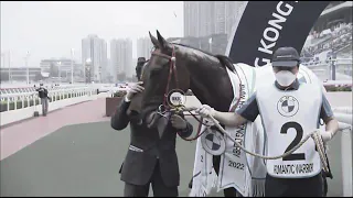 Horse racing @Shatin ,H.K.