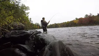 Fly Fishing Fall Brook Trout - East Outlet, Maine